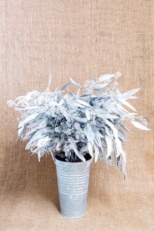 Eucalyptus - Seeded - Silver Tinted