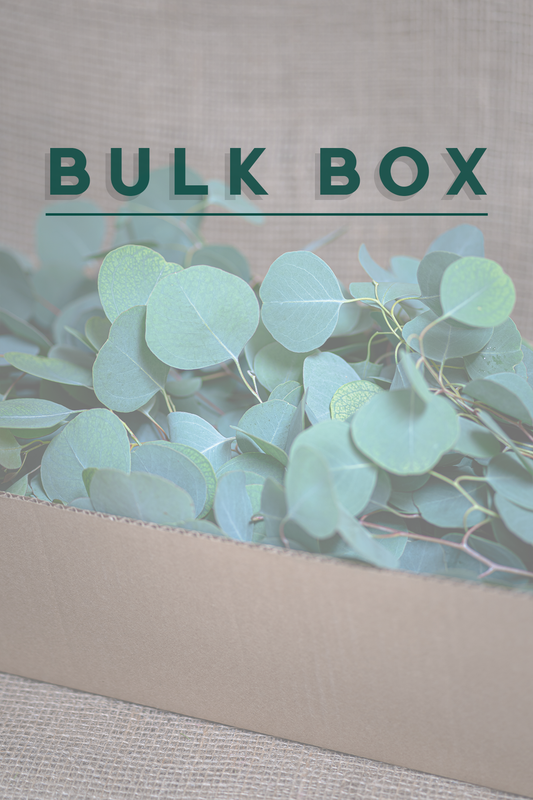 DIY Arrangement Kit- Eucalyptus - Silver Dollar