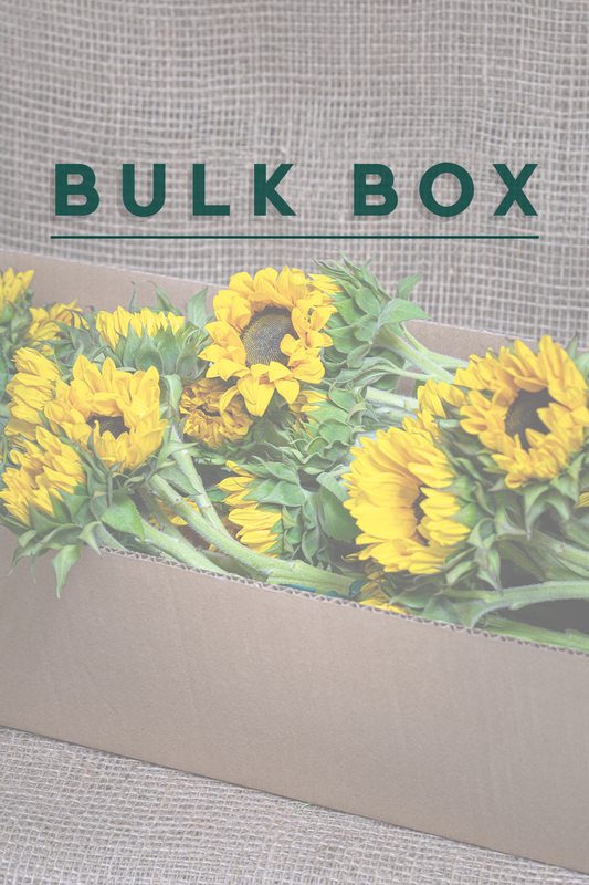 DIY Arrangement Kit - Sunflowers