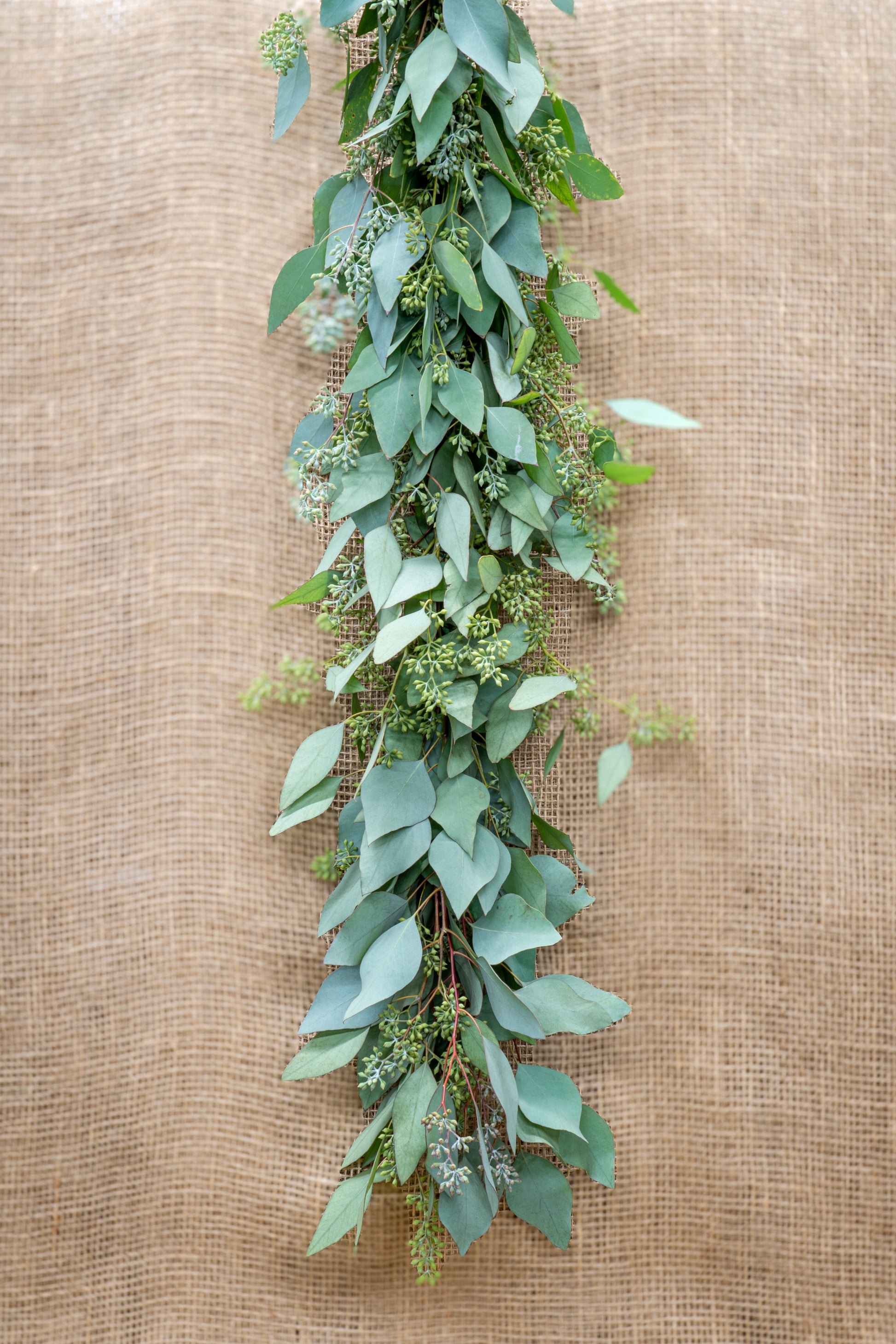 Fresh Seeded Eucalyptus Garland available in custom lengths and thickness