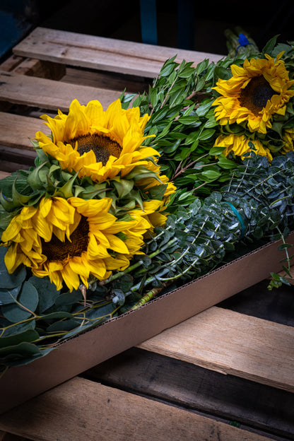Sunny Greens Arrangement - DIY Kit - Sunflowers and Mixed Greens