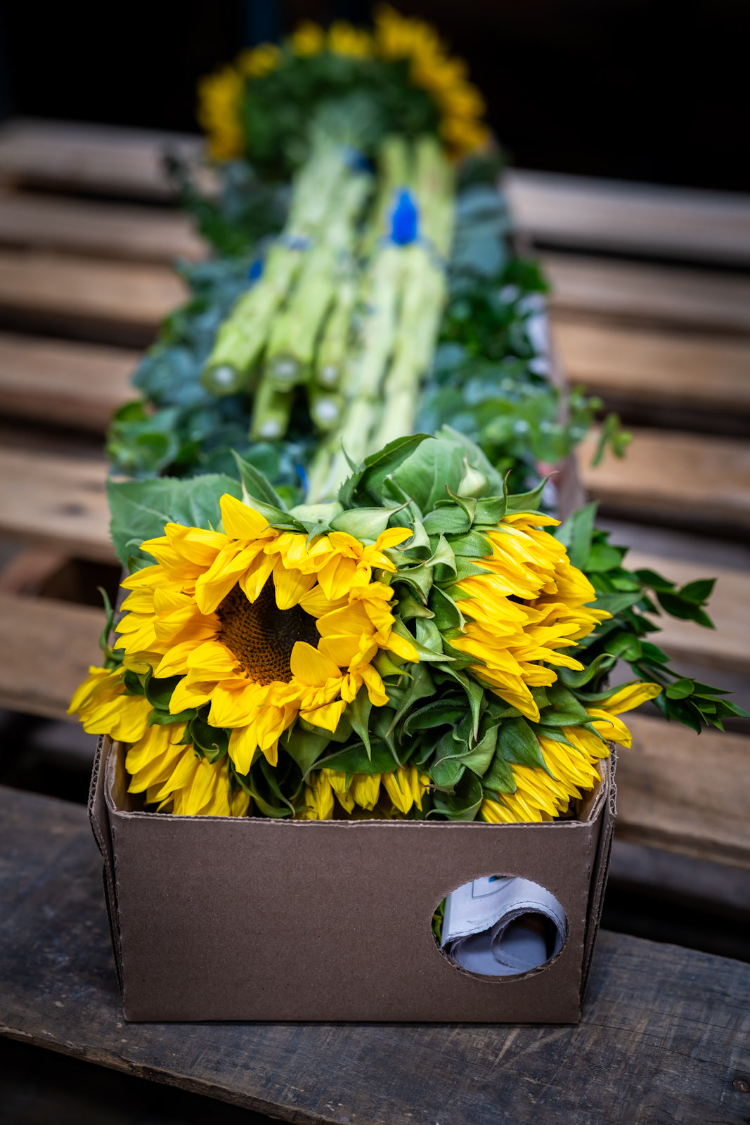 Sunny Greens Arrangement - DIY Kit - Sunflowers and Mixed Greens