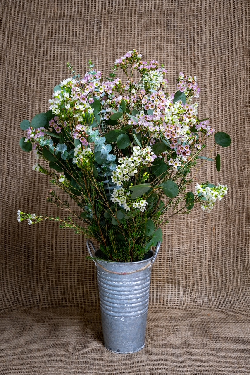 Sweetheart Arrangement - DIY Kit - Mixed Waxflower and Greens